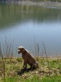 /album/a2017/dsc00072-jpg/